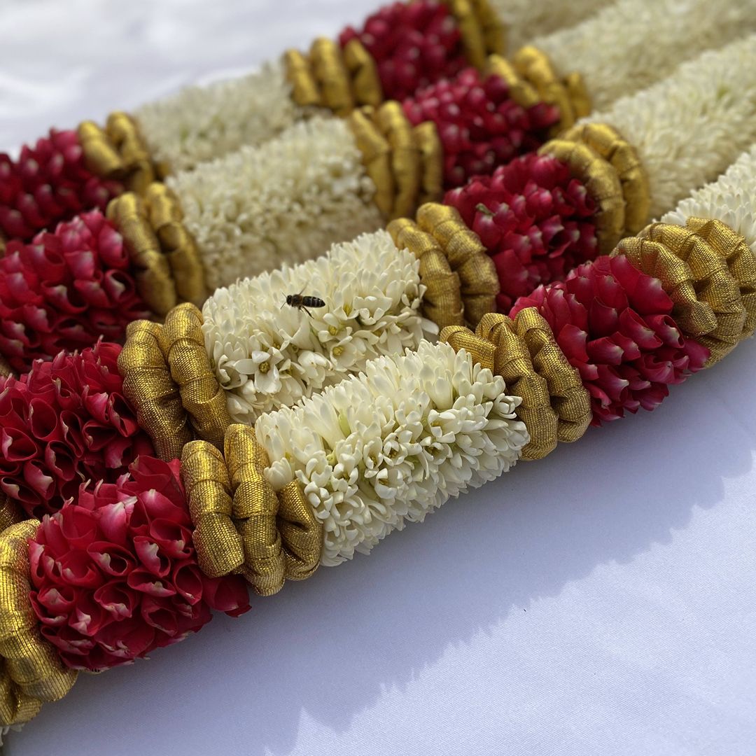 Red and white traditional Indian wedding flower garland for the ceremony